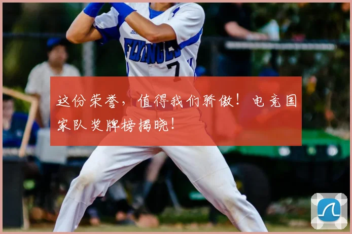 这份荣誉,值得我们骄傲!电竞国家队奖牌榜揭晓!
