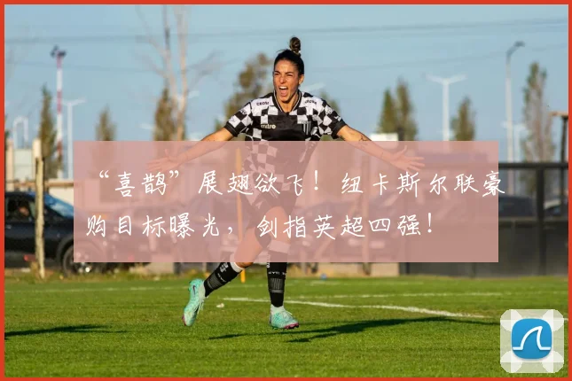 “喜鹊”展翅欲飞！纽卡斯尔联豪购目标曝光，剑指英超四强！