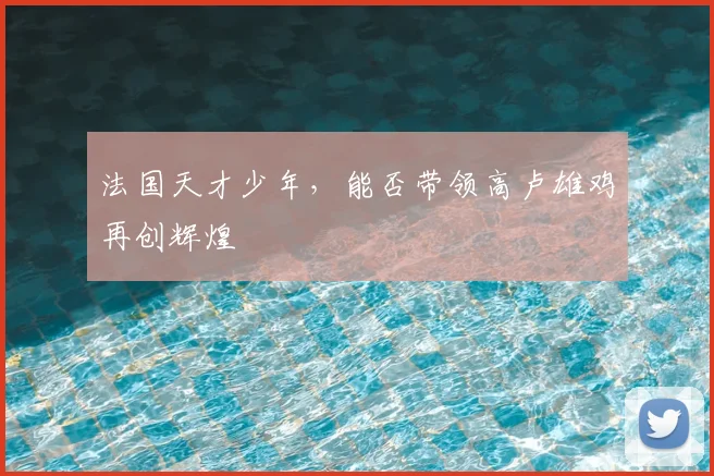 法国天才少年，能否带领高卢雄鸡再创辉煌
