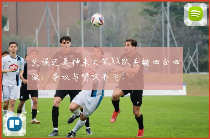 失误还是神来之笔XX队关键回合回放,争议与赞叹齐飞!