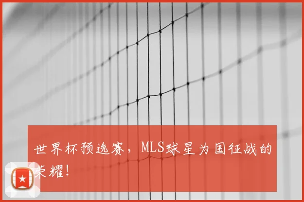 世界杯预选赛，MLS球星为国征战的荣耀！