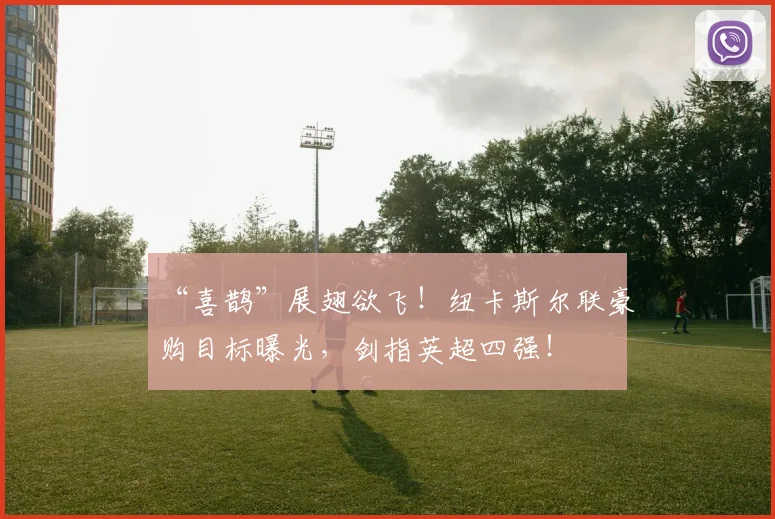 “喜鹊”展翅欲飞！纽卡斯尔联豪购目标曝光，剑指英超四强！